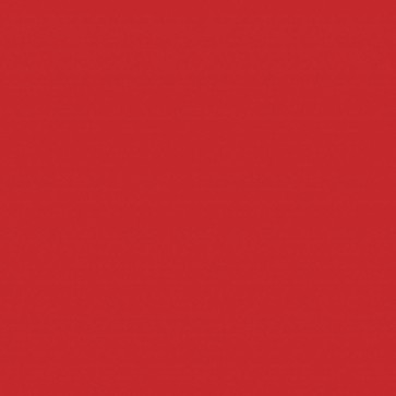Decorazione frontale per banchi refrigerati/riscaldati red1069, larghezza=920 mm